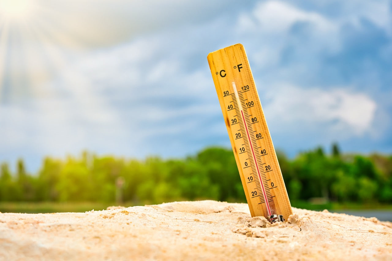 Canicule : comment protéger les personnes vulnérables