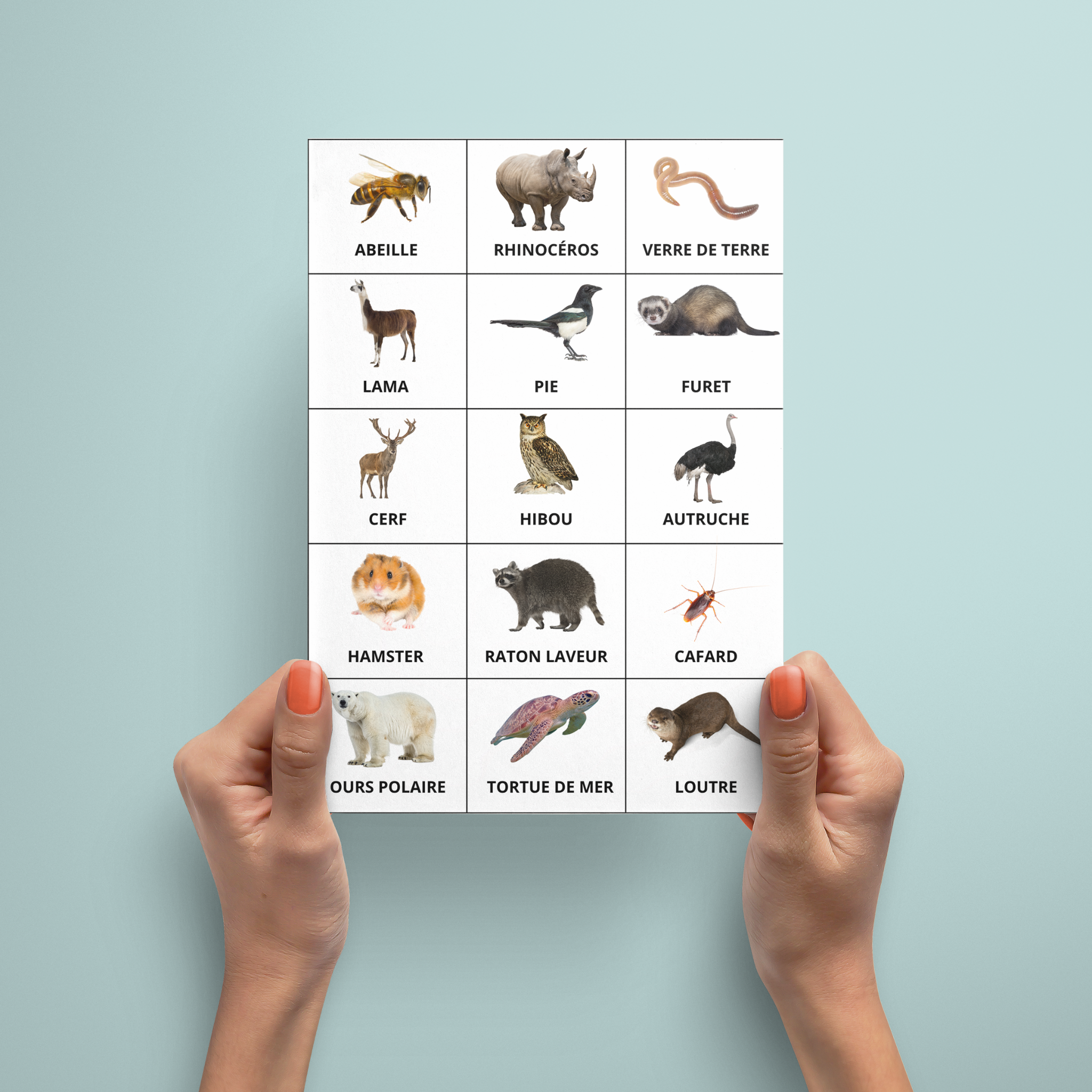 Fiche A4 de 15 animaux tenue à deux mains