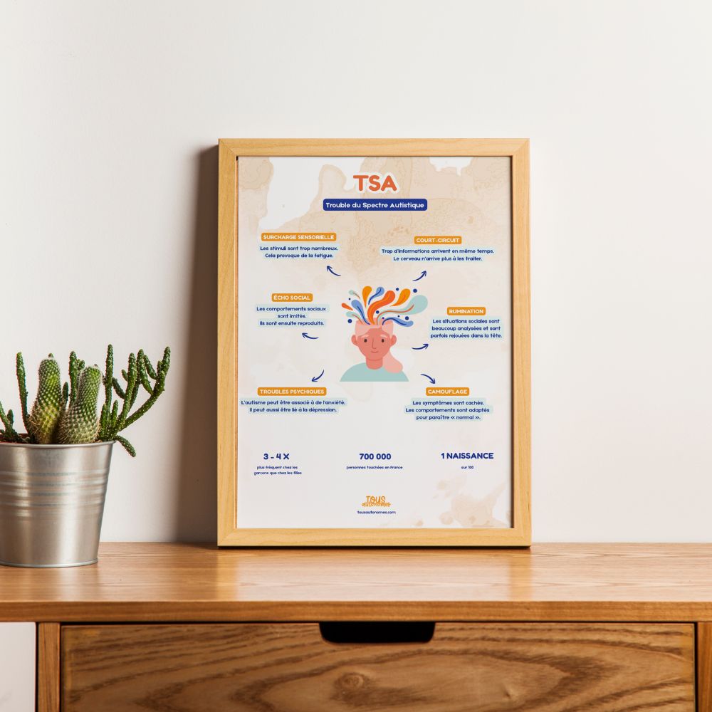Le TSA — Affiche à télécharger (format A4)
