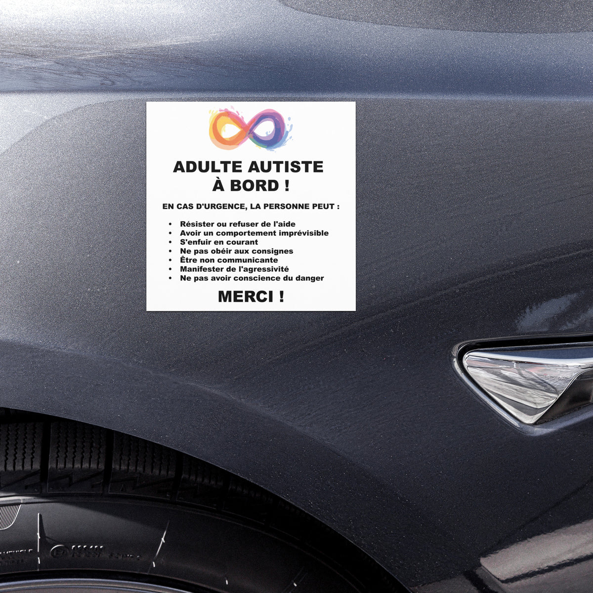 Magnet voiture sensibilisation autisme – posé sur une portière de voiture